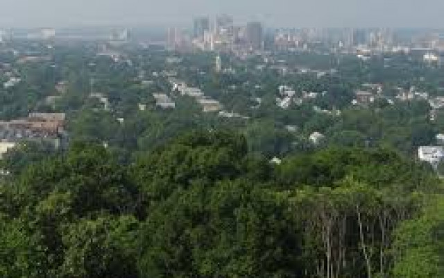 Temperate forests 