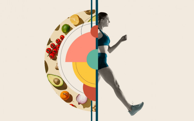 Metabolism